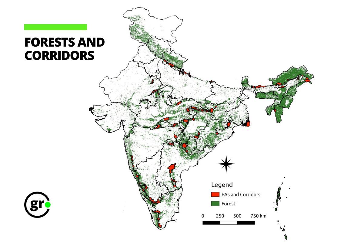 Forests and Wildlife corridor map of India