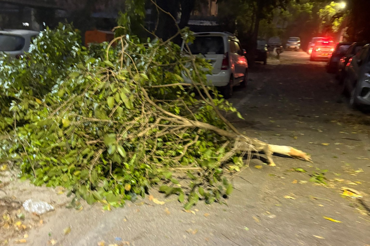 Dust storm disrupts life in Delhi, flights diverted, red alert issued