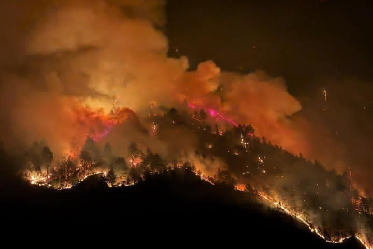 Massive forest fire breaks out in Dirang Arunachal Pradesh, Know how and why it happened