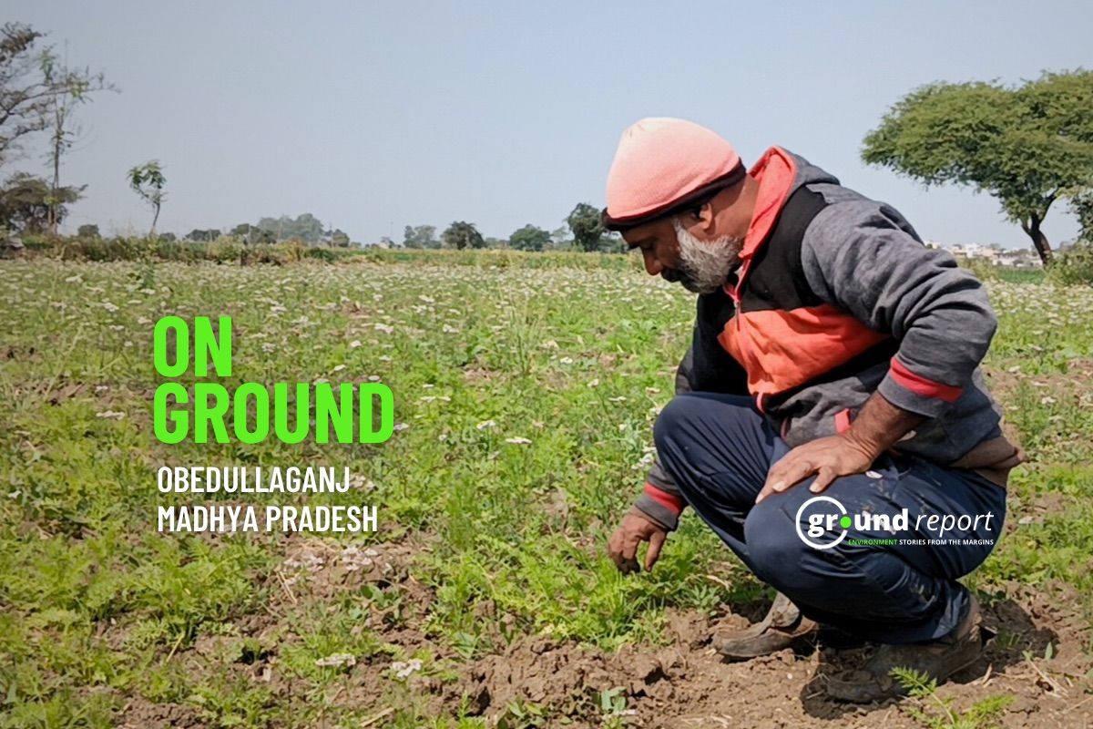 Pavan Pareshan: An organic farmer reshaping India's agricultural future