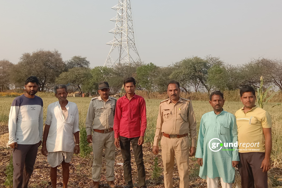 sardarpur lesser florican