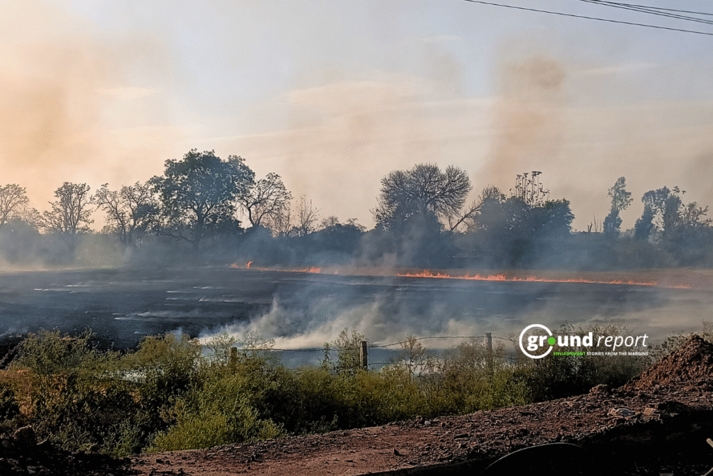 Yearwise stubble burning cases recorded in Rabi season in Madhya Pradesh