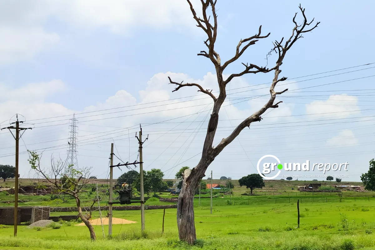 Madhya Pradesh Weather: Hot Days, Freezing Nights as Temperature Drop Looms