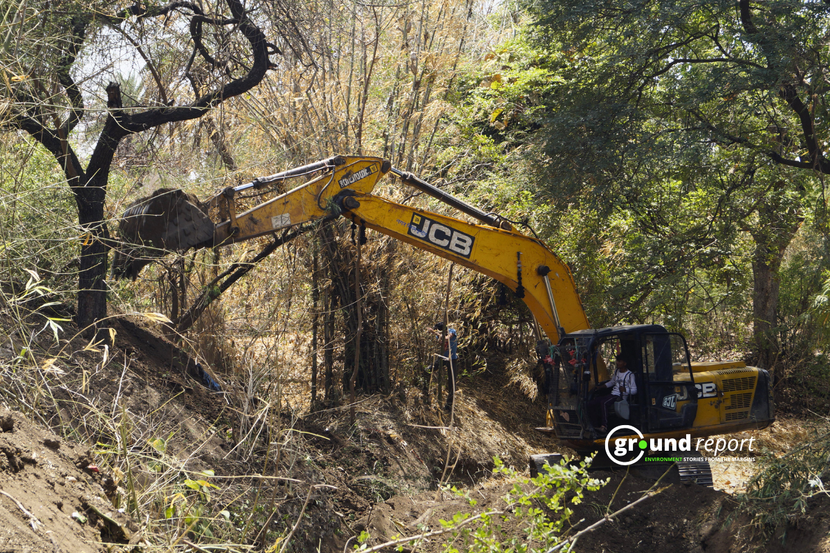 Cleanest city faces green crisis: Indore's vanishing green covers