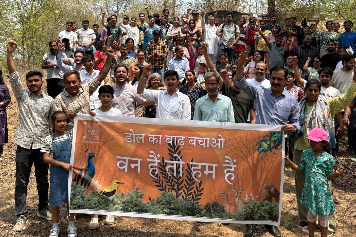 Jaipur’s Dol Ka Baadh forest at risk: 2,500 trees face axe for new project