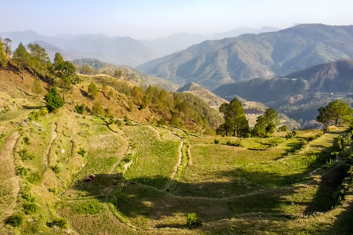 Why Uttarakhand farming is shifting due to climate change?