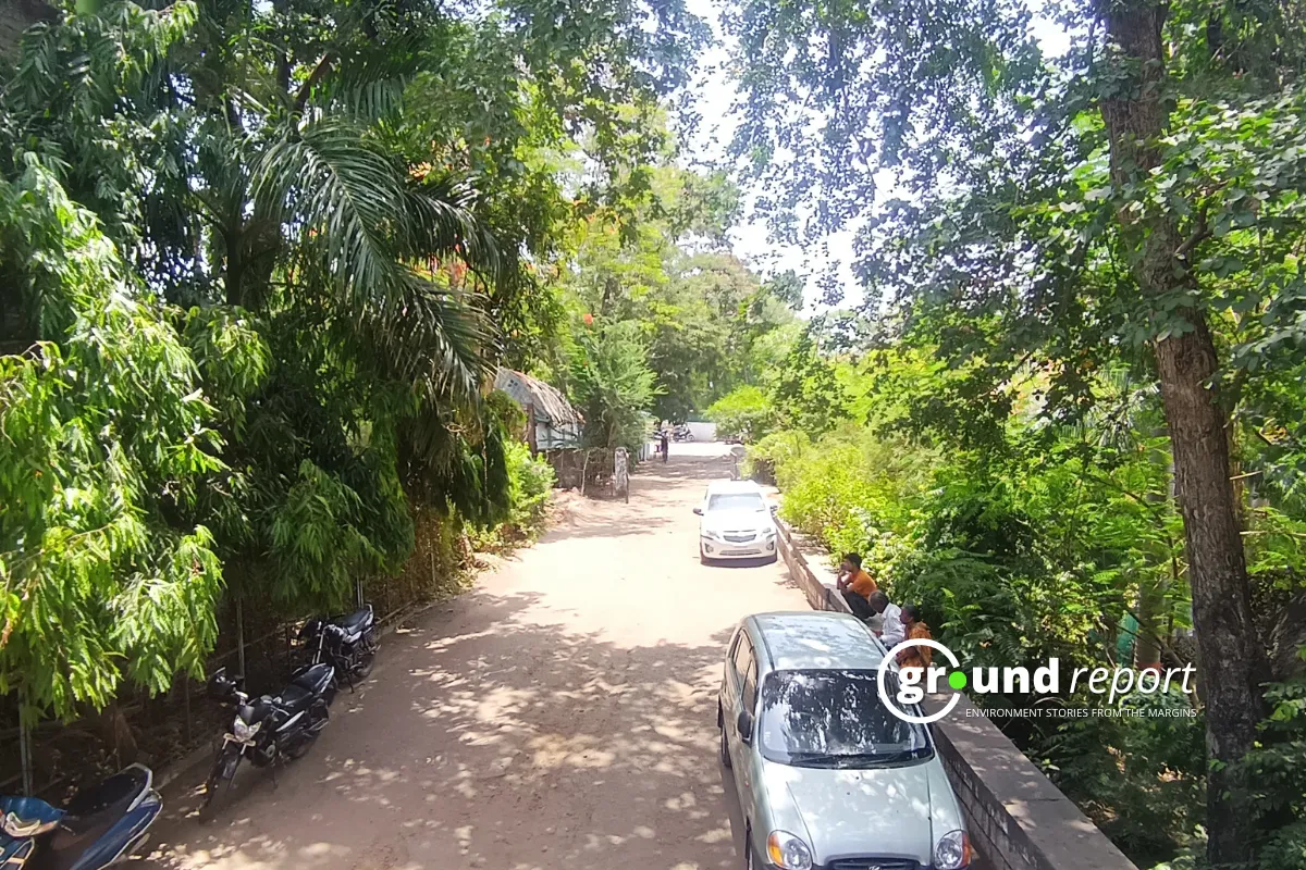 What Is Banned Pesticide Lindane Being Used for Anti-Termite Treatment?