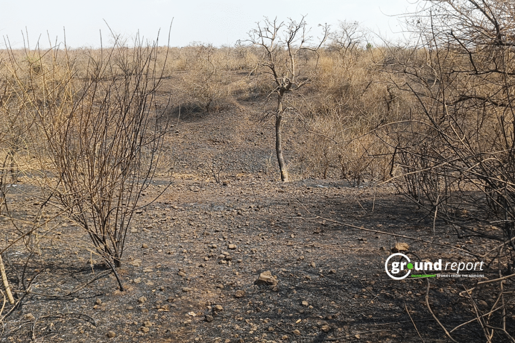 Burning question: who’s accountable for Rajgarh’s forest fires?