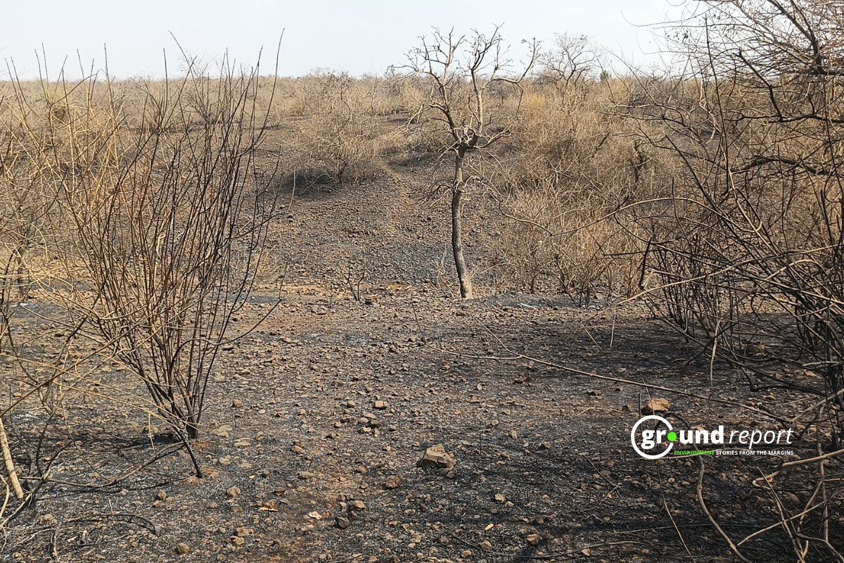 Burning question: who’s accountable for Rajgarh’s forest fires?