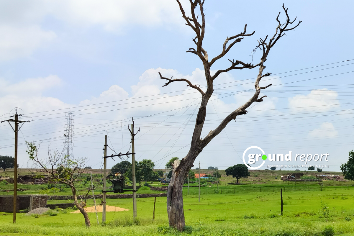 Storms, rain, and hail hit Madhya Pradesh: Alert in 22 districts