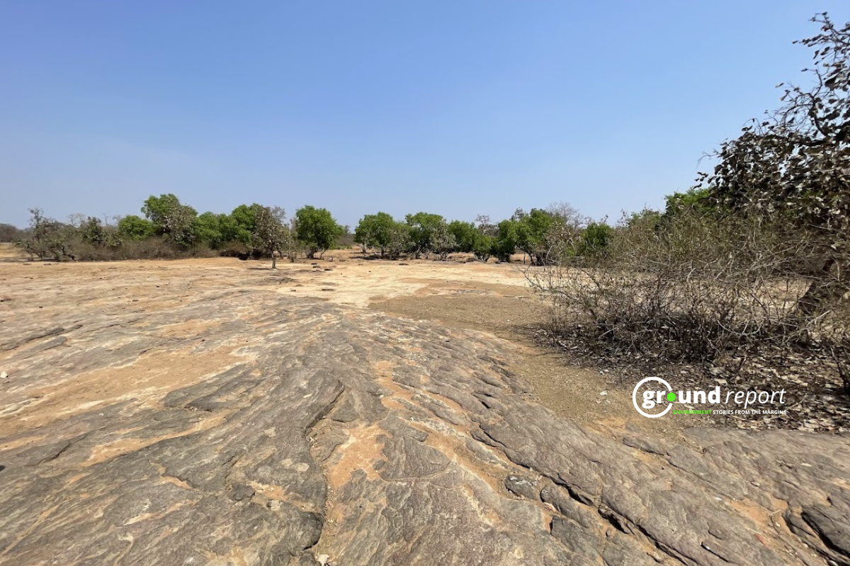 Madhya Pradesh  gully erosion 123