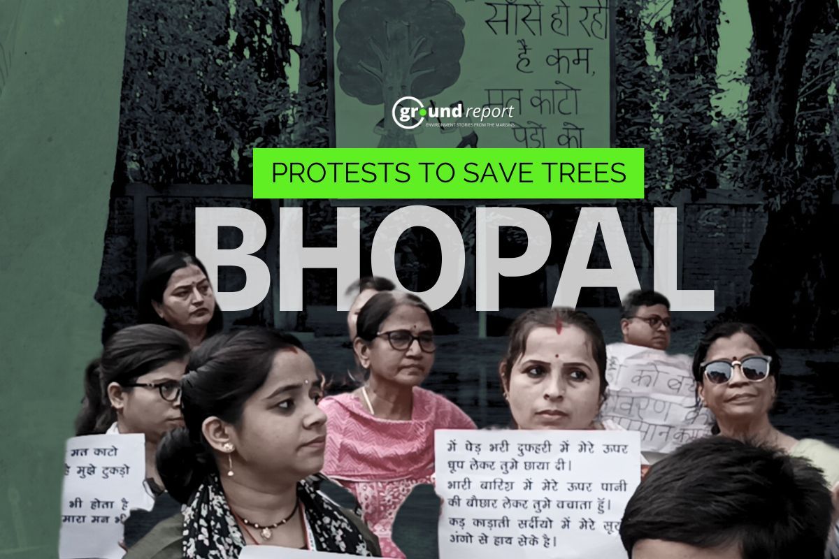Bhopal Citizens Protest to Save 8,000 Trees From Highway Expansion