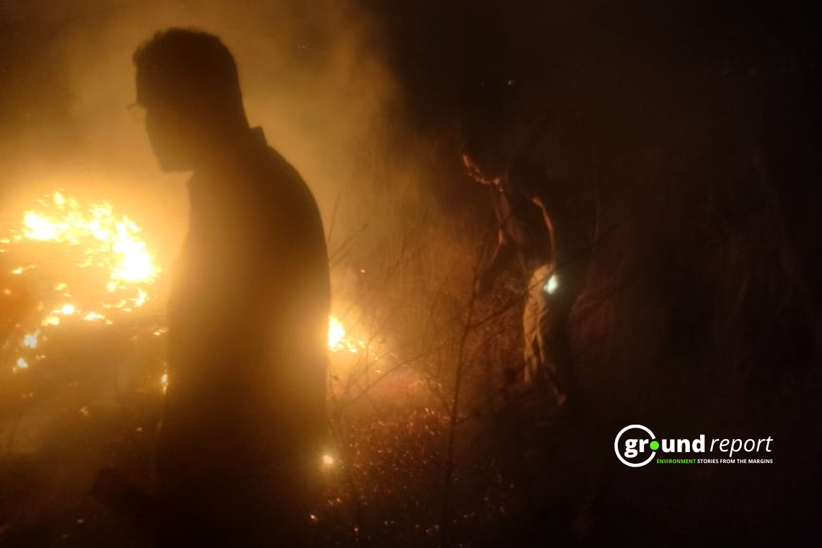 forest fire