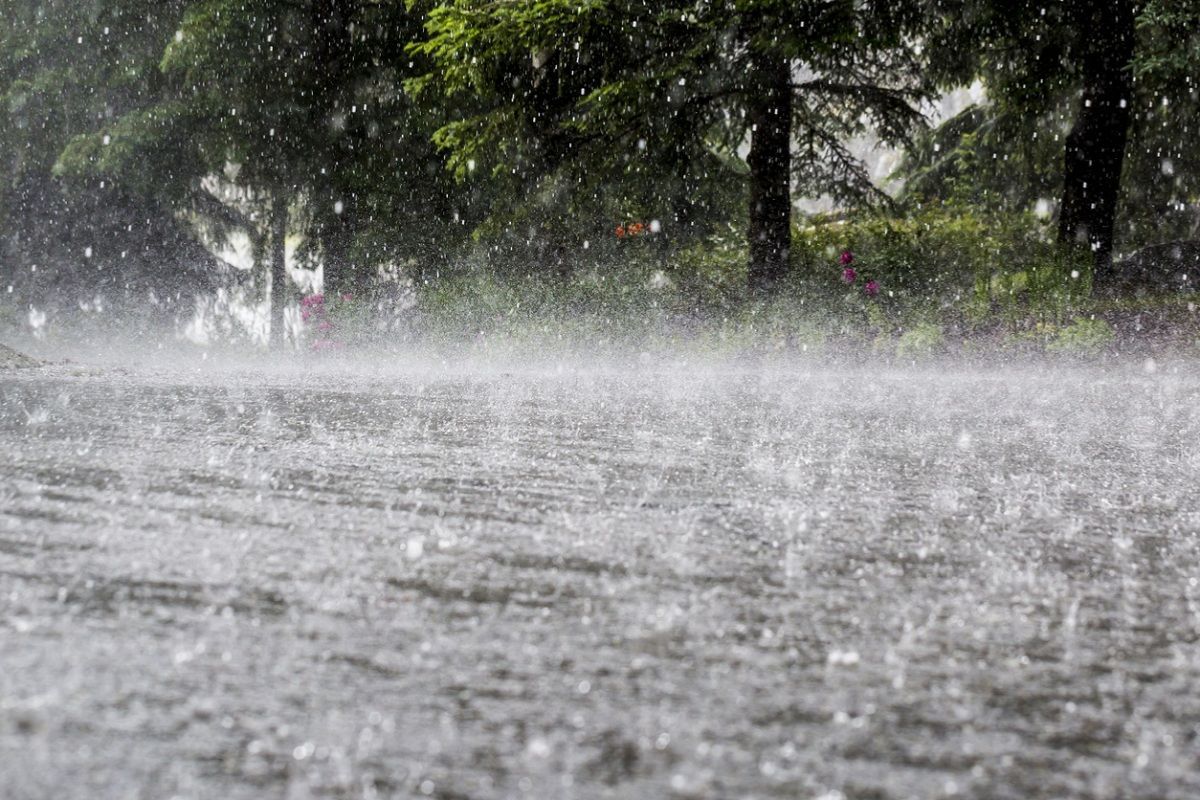 Heavy Rain Likely in Madhya Pradesh for Five Days, Alert Issued in Several Districts