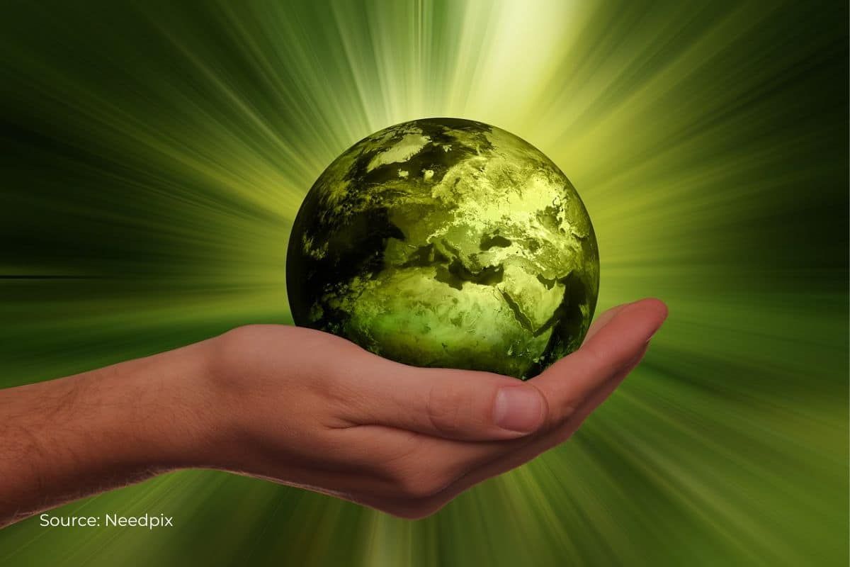From Climate Change to Clean Air: How Sustainability Helps Our Environment