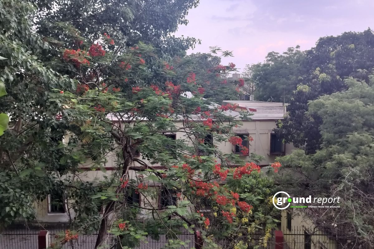 Storm and Rain Alert in 47 Districts of Madhya Pradesh