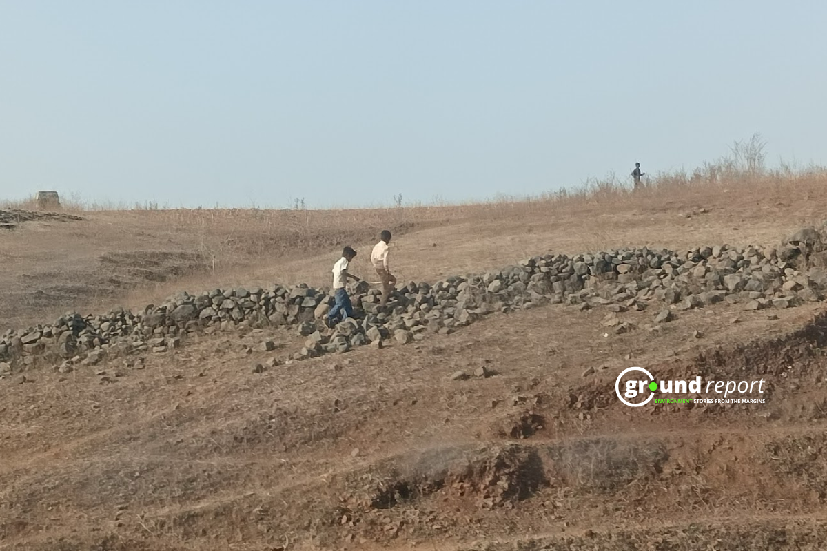Heat and Drought Now Hit Together, And Harder in Madhya Pradesh