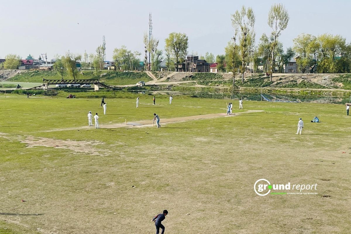 cricket climate change