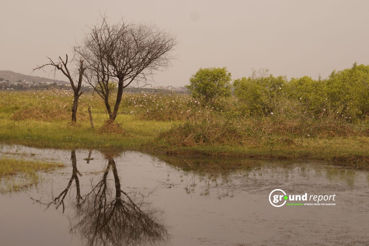 Wetlands Vanishing Worldwide, Report Warns of Rapid Decline