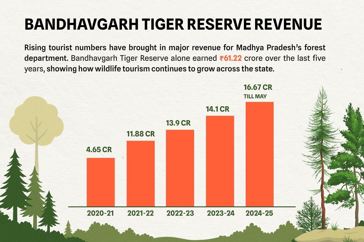 Madhya pradesh Forests to Reopen After Monsoon