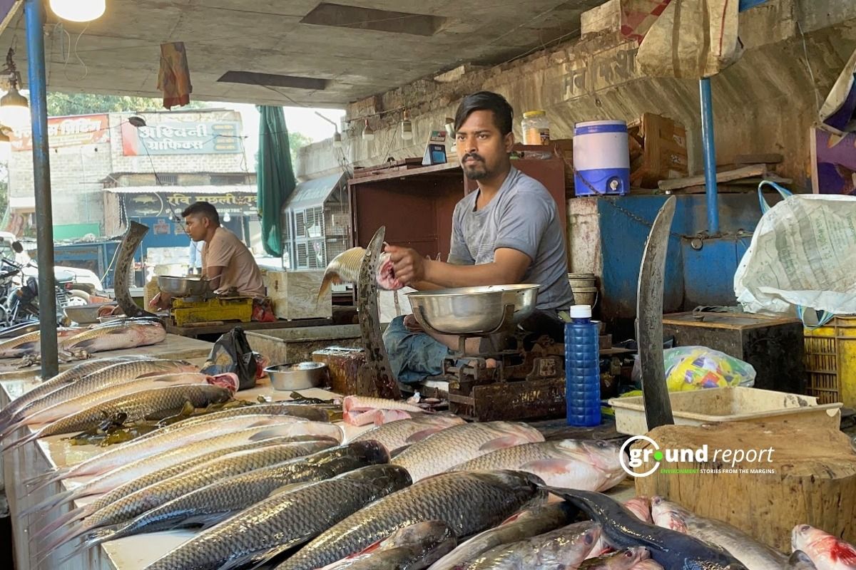 Bengali Fish Market of Narmadapuram