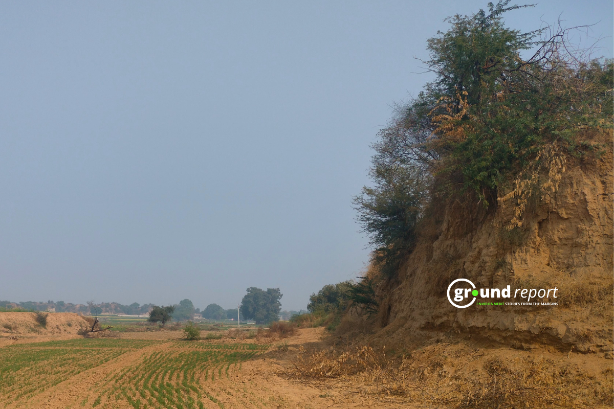 Rising Heat Could Shrink Global Food Supply, Even with Adaptation: Study