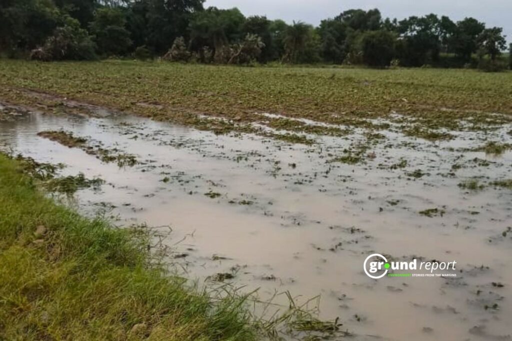 Heavy Rainfall Pounds Madhya Pradesh, Alerts in 42 Districts