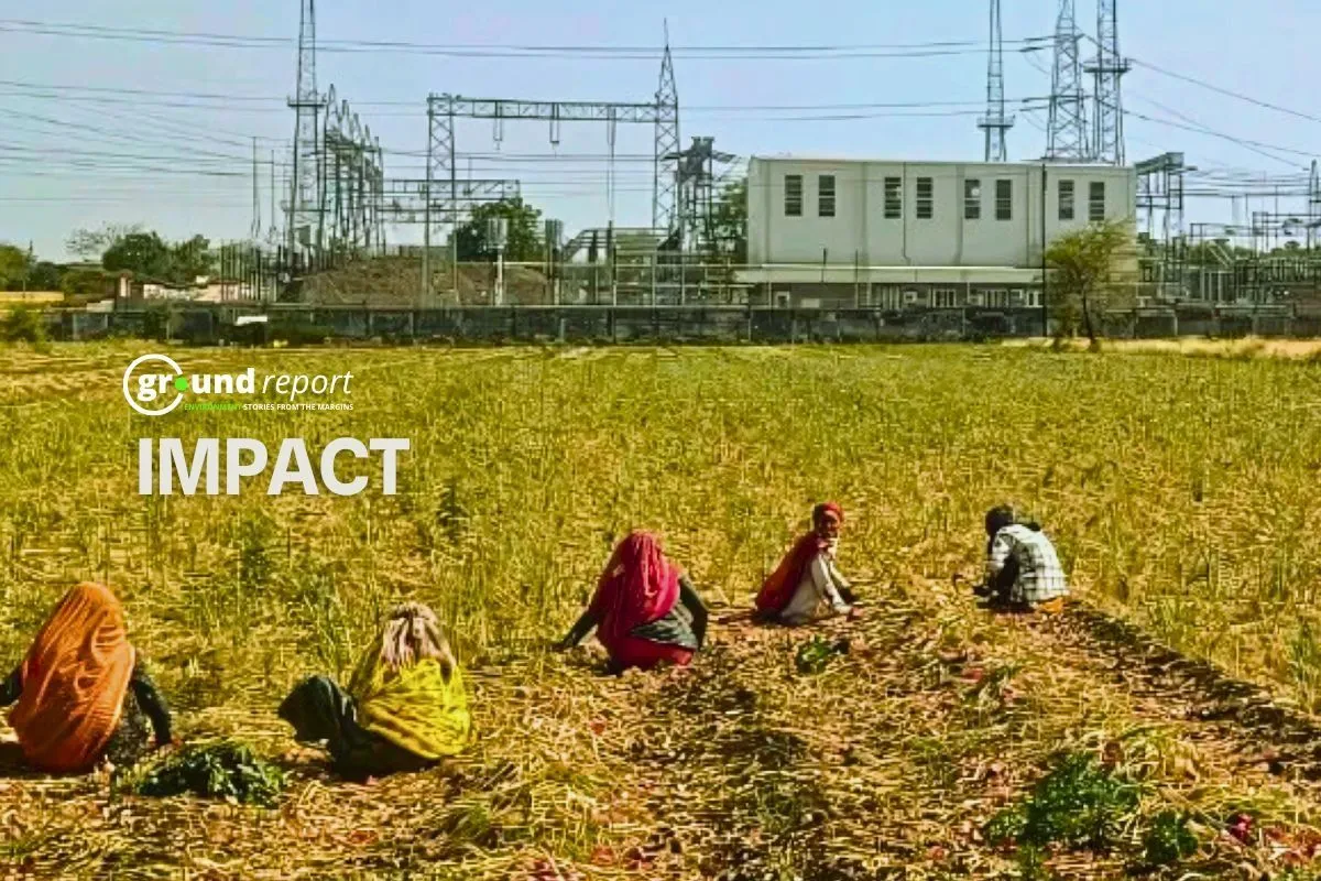 सरदारपुर पक्षी अभ्यारण्य का 215.28 वर्ग किलोमीटर क्षेत्र हुआ डिनोटिफाइड