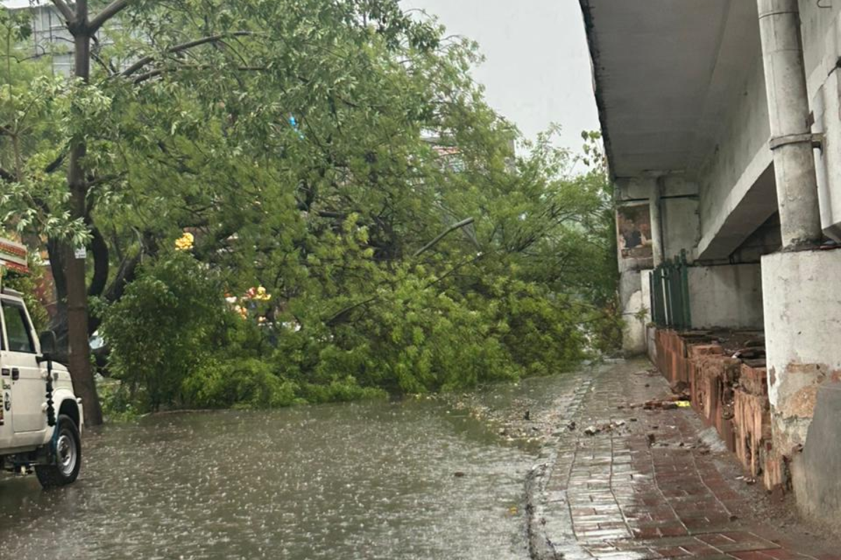 Heavy Rains Trigger Flood-like Situation in Madhya Pradesh