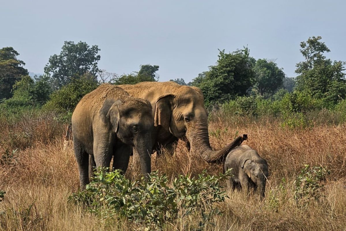 बच्चे को दुलार करती वत्सला