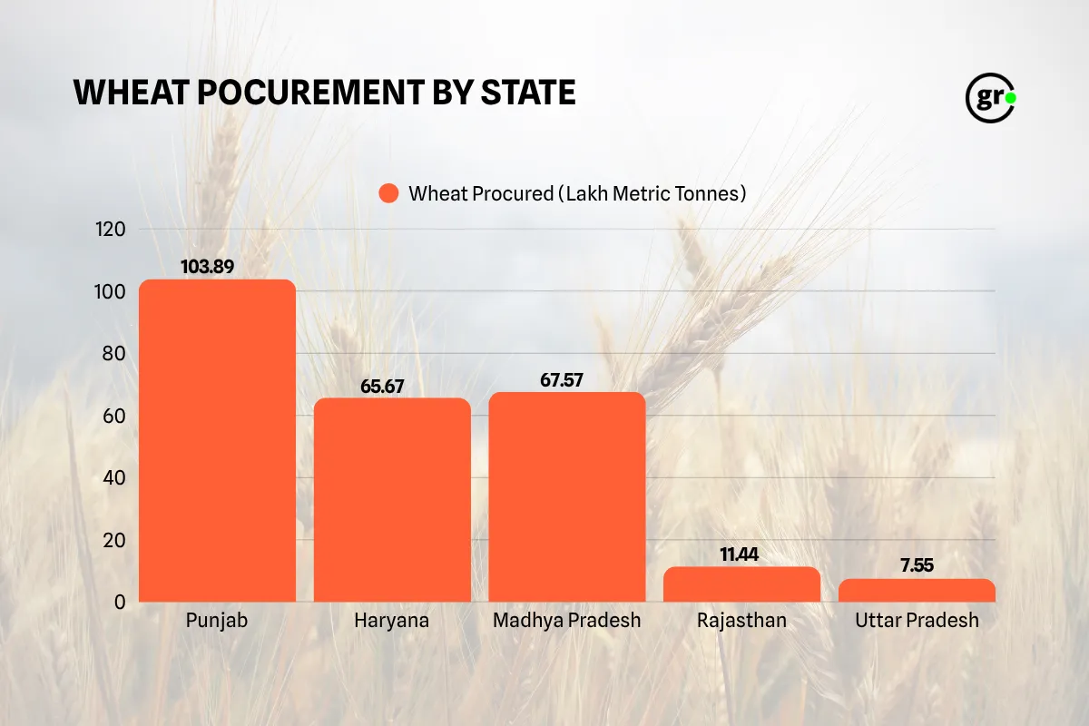 Wheat Boom in Madhya Pradesh 10101111