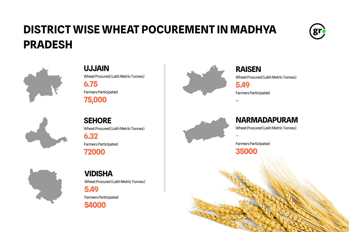 Wheat Boom in Madhya Pradesh 1010111212