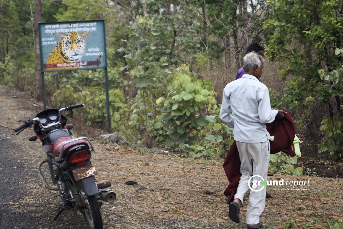 Bhopal Urban Tigers