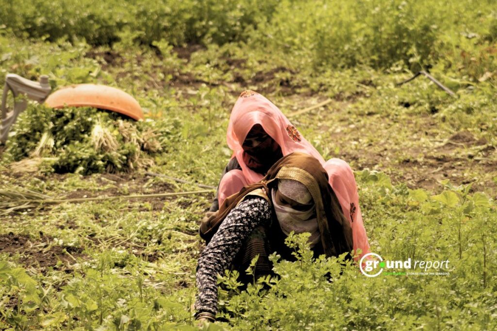 Agricultural activities near Bhoj Wetland in Mugaliya Chhap Village of Bhopal