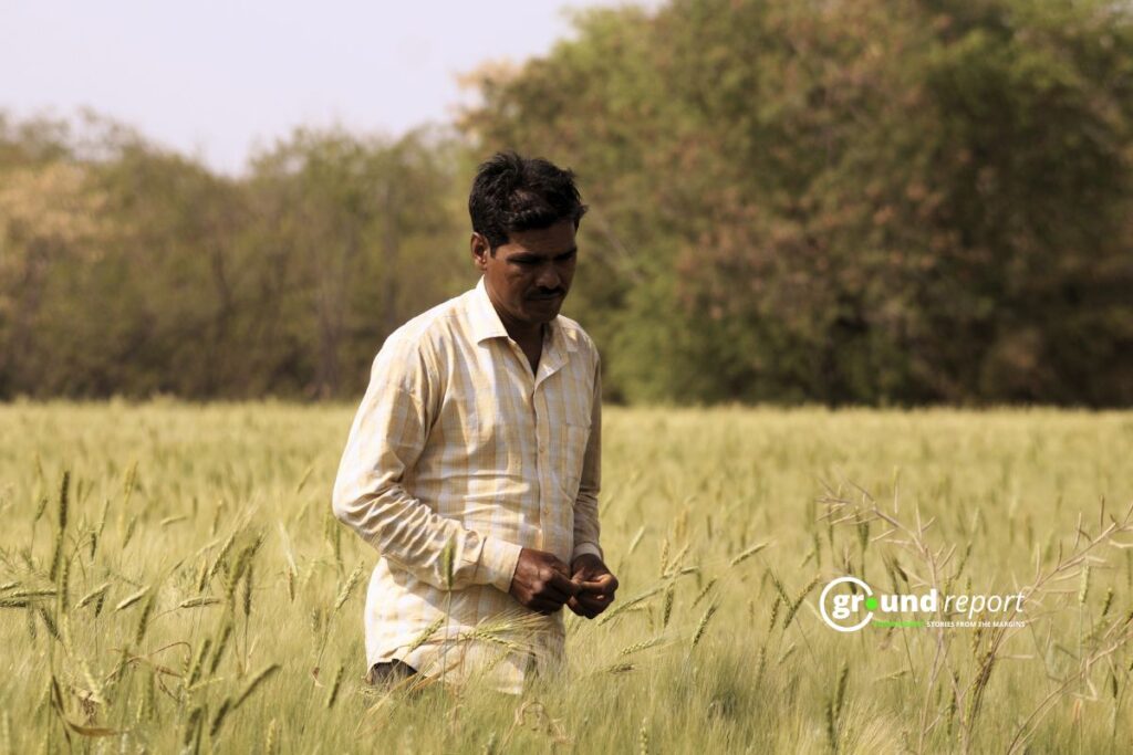 Bharat Singh Thakur Farmer of Mugaliya Chhap village