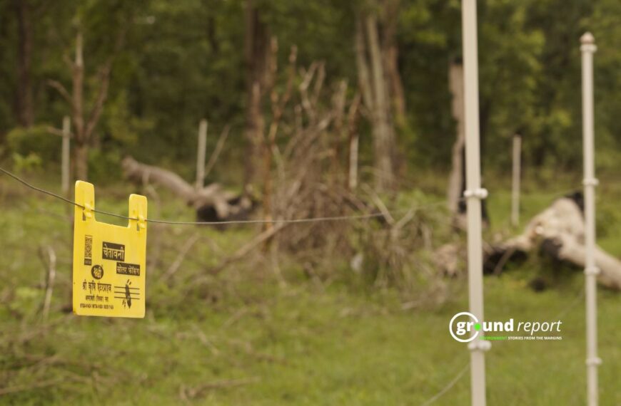 How Solar Solutions Are Helping Protect Crops from Wild Animals