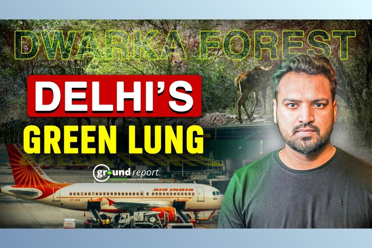 Save Dwarka Forest Rohit Upadhyay