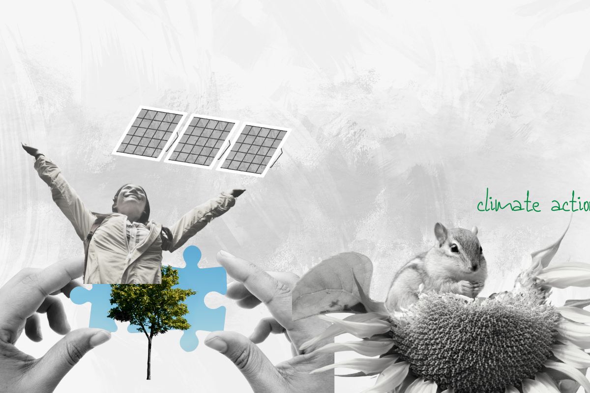 Environment News India