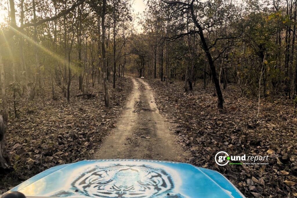 Tiger Reserves of Madhya Pradesh