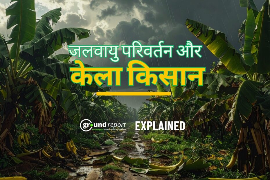 Climate change impact on banana farmers in India