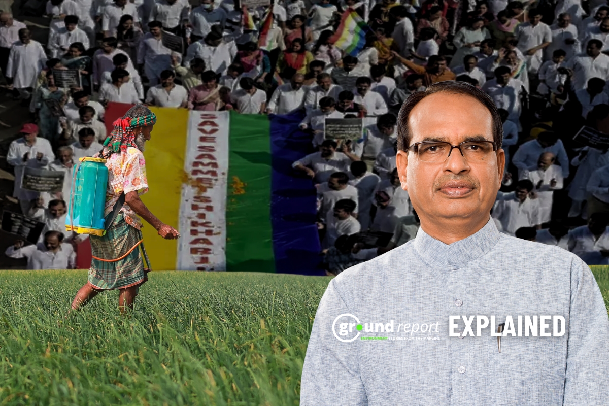 Animal Based Biostimulants Banned Jainism Protest