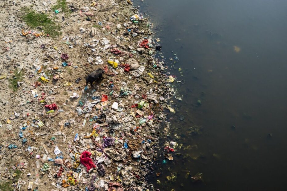 What BJP Government did to clean Yamuna river in Delhi?