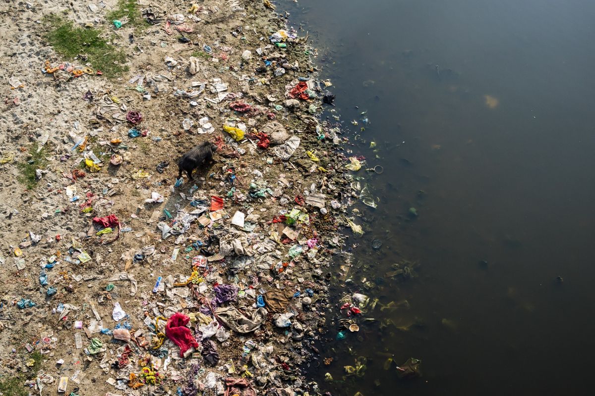 What BJP Government did to clean Yamuna river in Delhi?