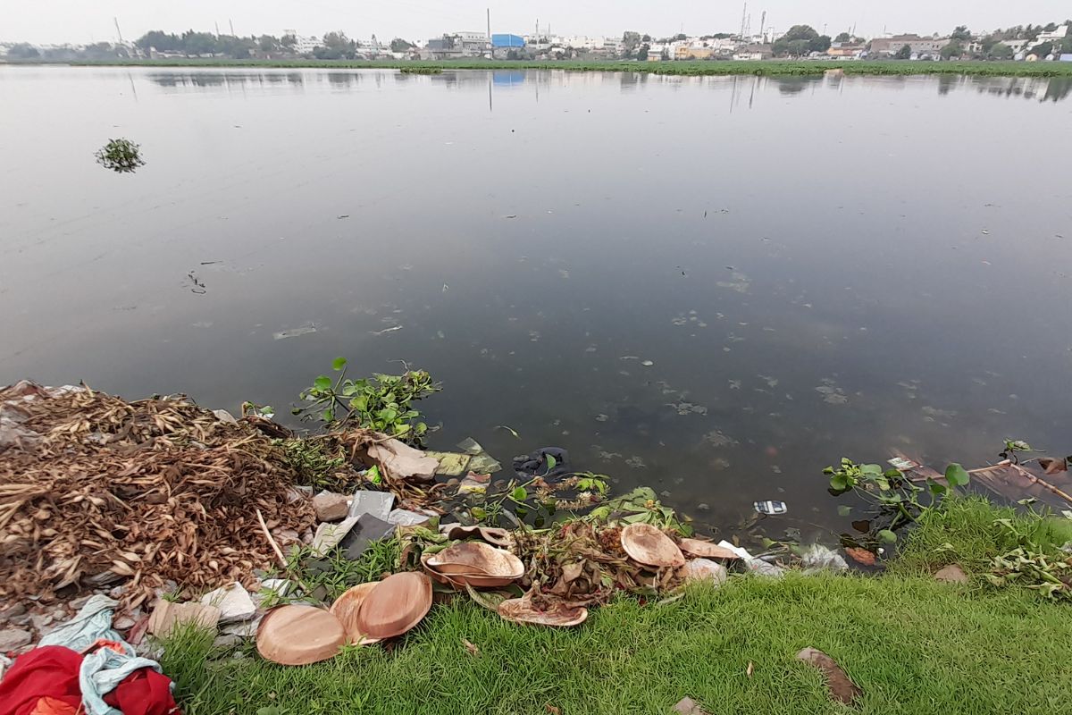 Fact Check: Yamuna river is cleaner in 2025 as compare to last year?