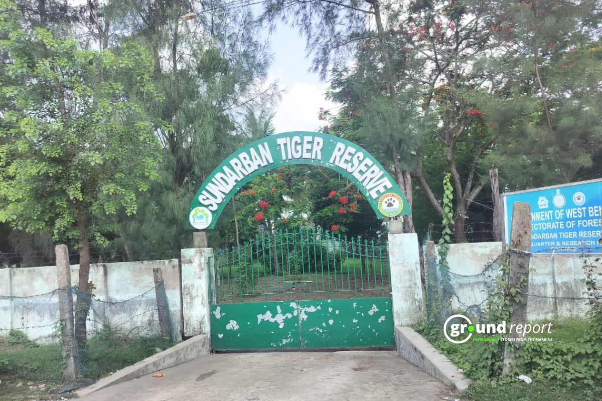 Sundarbans Slips in Global Conservation Ranking, What Went Wrong?