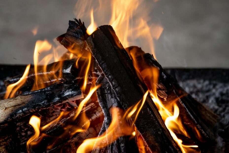 40% of Indian Households Still Cook with Firewood Despite Gas Connections