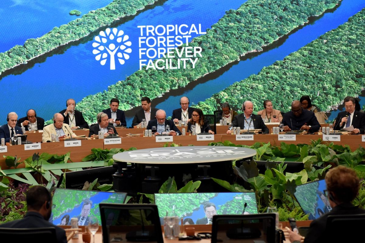 What Is Tropical Forest Forever Facility, Can It Really Save Rainforest?