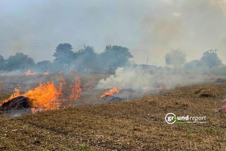 Bhopal Bans Stubble Burning for Three Months as Wheat Harvest Begins