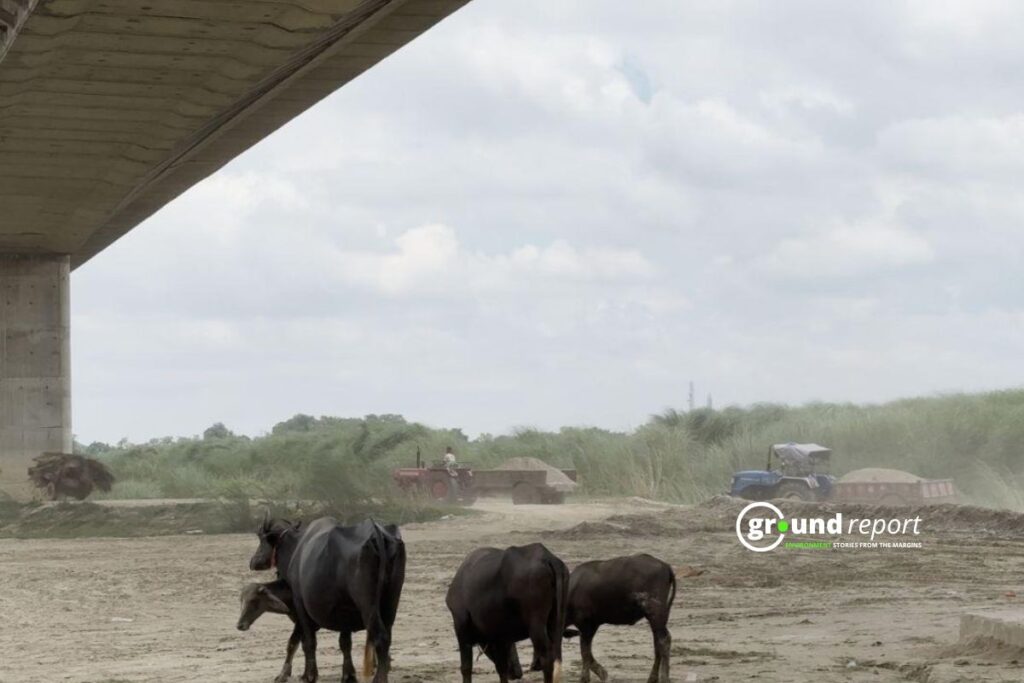 Sand being ferried in tractor trolleys