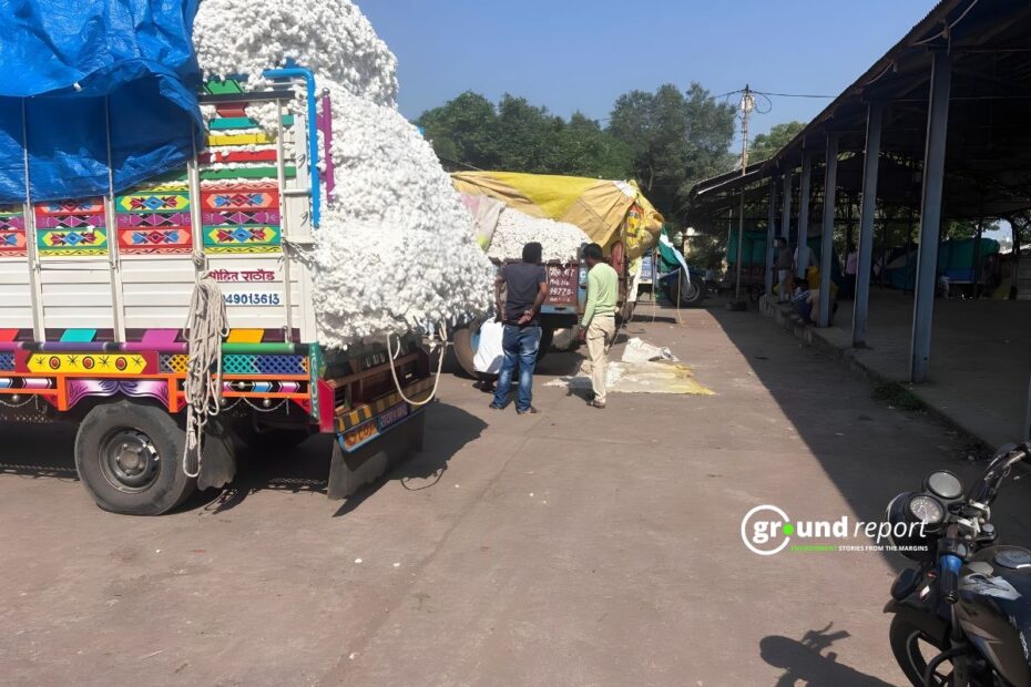 cotton in barwani mandi